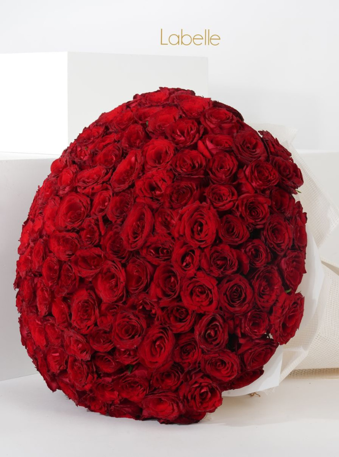 250 Red Roses Hand Bouquet – White Wrap
