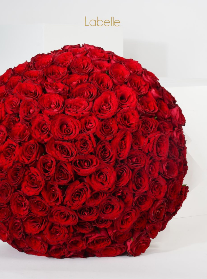 250 Red Roses Hand Bouquet – White Wrap